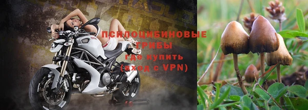 гидропоника Нефтекумск